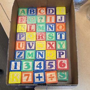Alphabet Number Wood Blocks Animal Pictures Math 1-3/4” Cubed School +Extras(49)